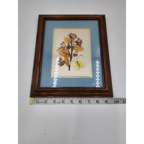 Vintage Pressed Flower Pictures By Elsie Kraft for Belart/Nature Incentives USA - Picture 4 of 11